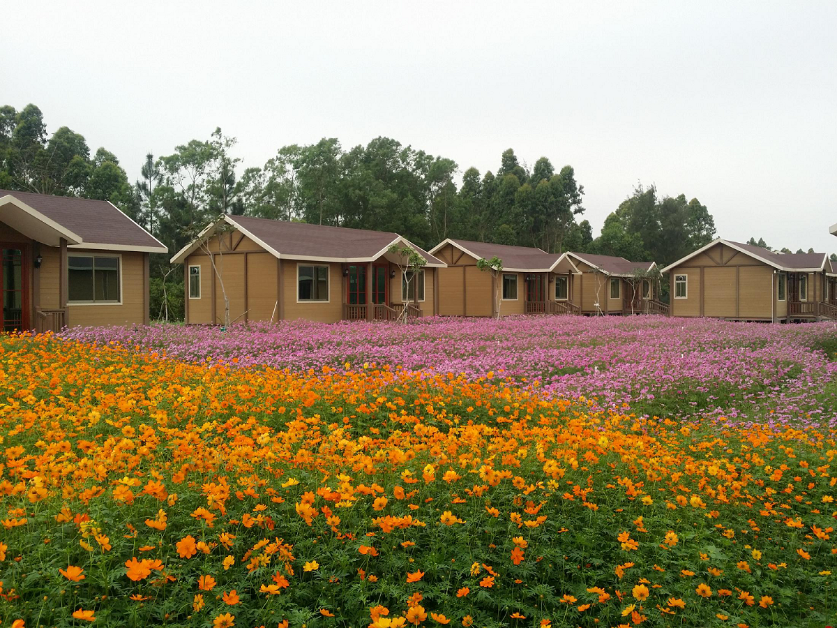 陽(yáng)江山海經(jīng)花海拓展基地